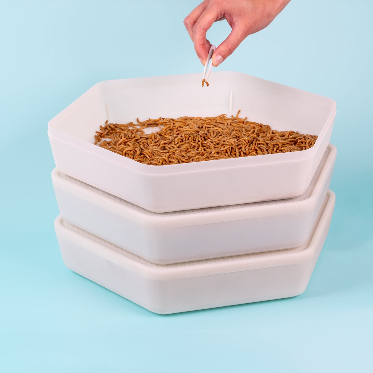 The Mealworm Growing Pods
